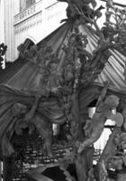 B027677