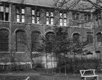 B028196