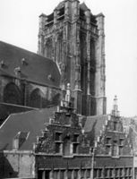 B029046