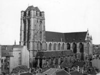 B029047