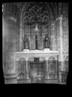 B029126