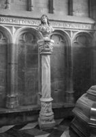 B029818
