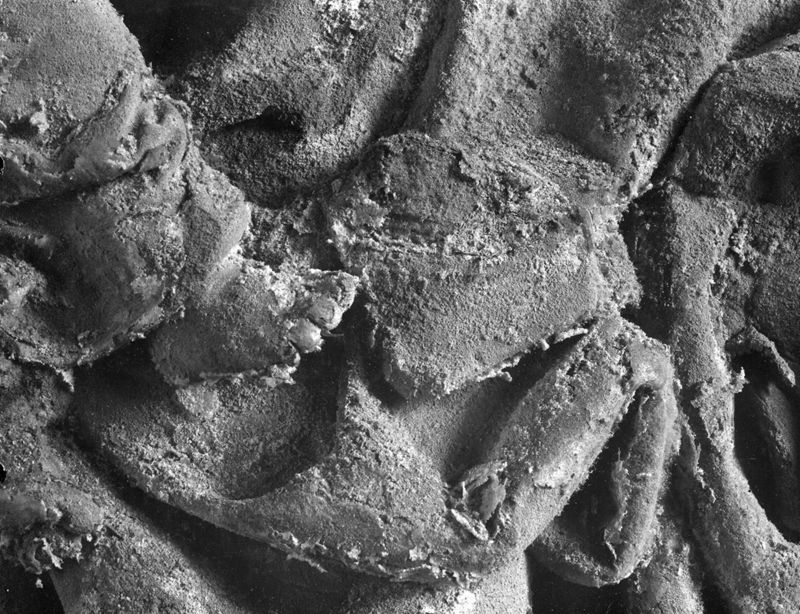 Dalle rectangulaire en haut-relief: Vierge à l'Enfant entourée de rayons.
