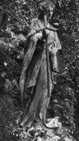B031049
