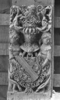 B031381