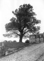B034203