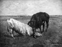 B035734