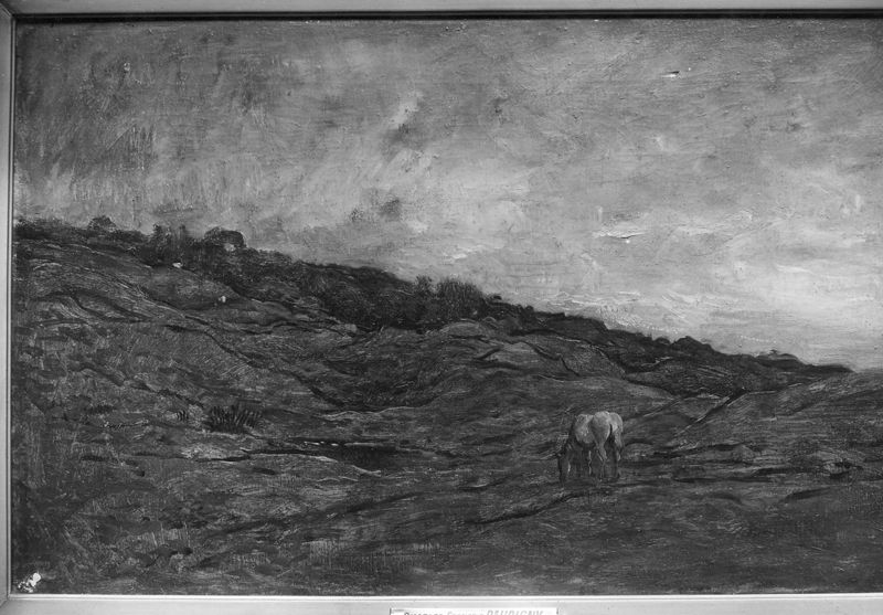 De weide van Graves