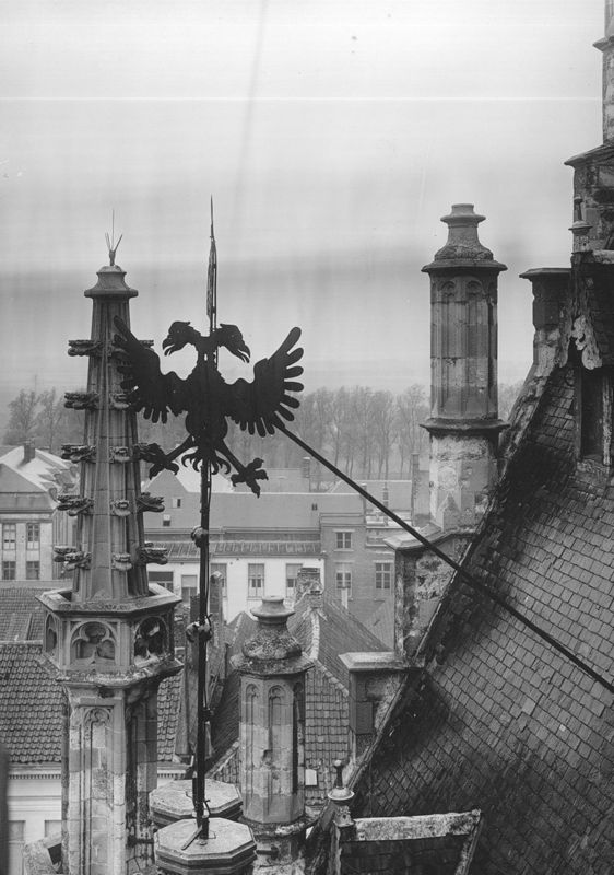 statue animale / Stadhuis[Oudenaarde]