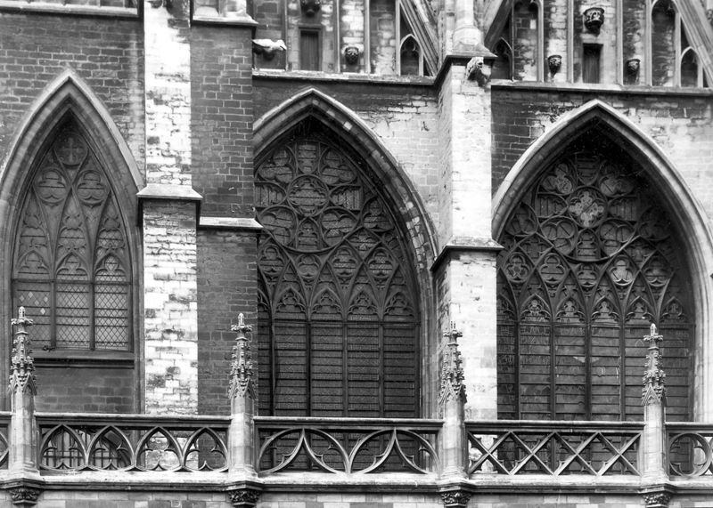 fenestrage / Sint-Romboutskathedraal[Mechelen]