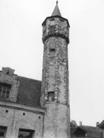 B037290
