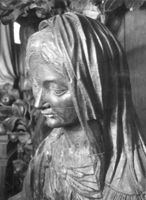B037817
