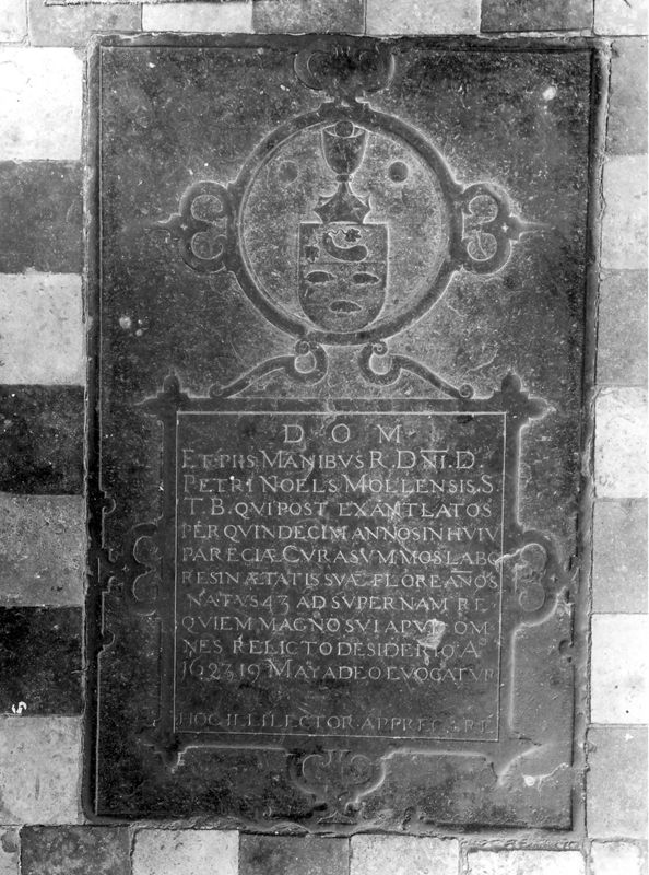 van Noels, Petrus