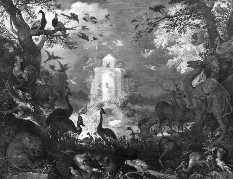 Animaux dans un paysage
Le Paradis terrestre