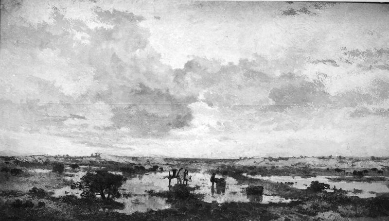 Ondergaande zon op de heide