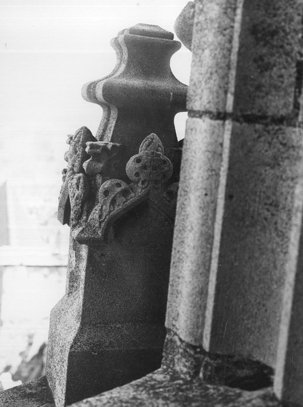 ornement / Stadhuis[Oudenaarde]