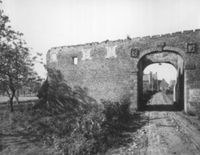 B045303