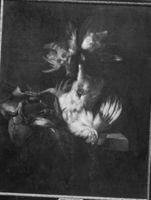 B045736