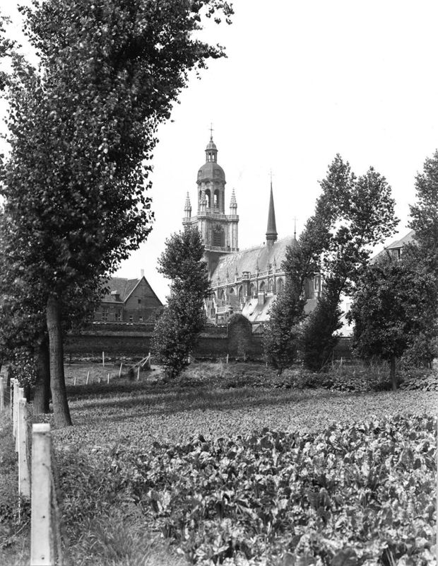 basilique / Kerk Sint-Martinus[Halle]