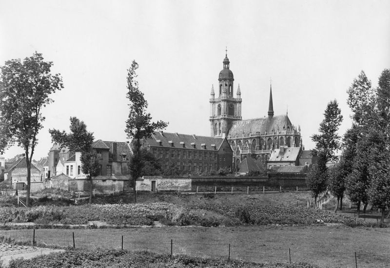 basilique / Kerk Sint-Martinus[Halle]