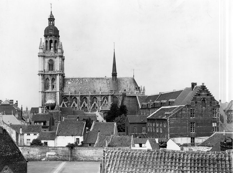 basilique / Kerk Sint-Martinus[Halle]