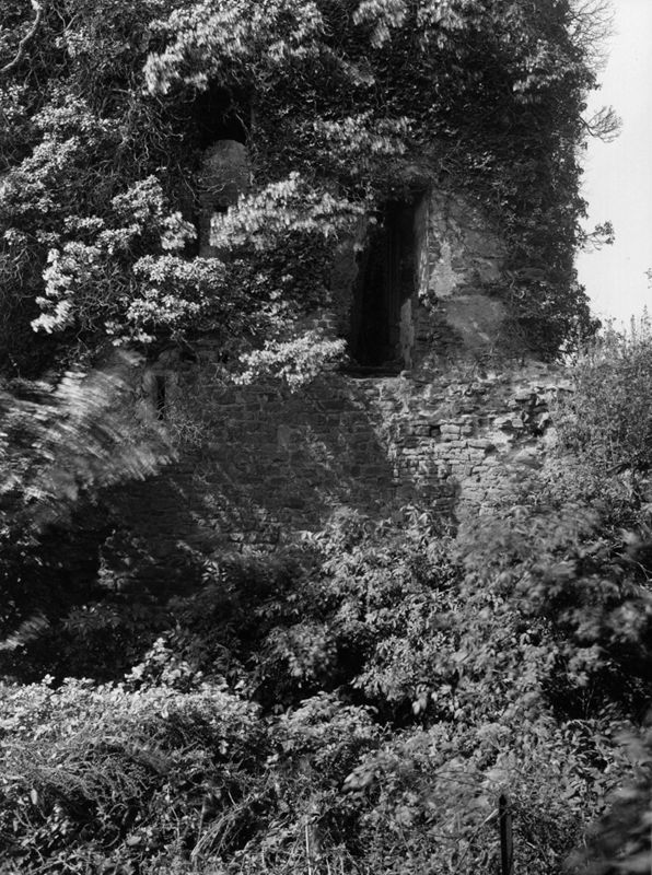 Vieux Château