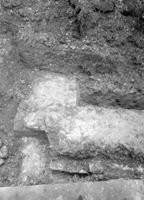 B050651