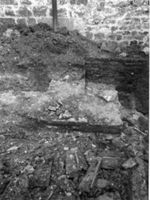 B050653