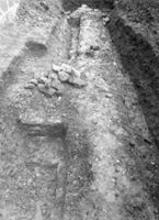 B050655