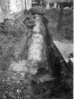 B050656