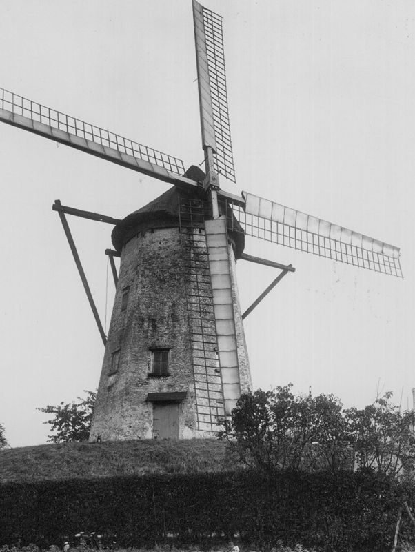 Witte Molen