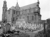 B053667