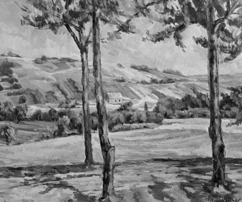 Landschap