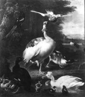 B054527