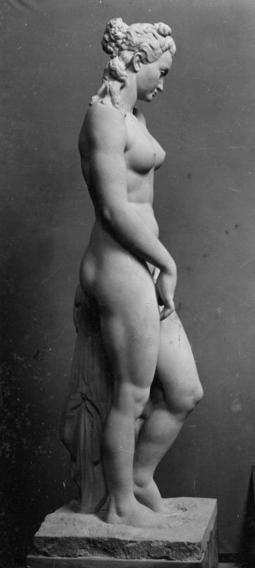 Venus