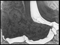 B055281
