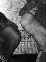 B055733