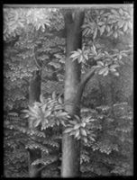 B055736