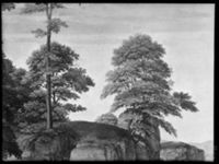 B055739