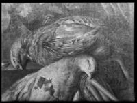B055782
