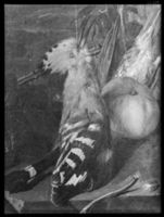 B055783