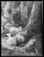 B055794
