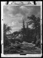 B055961