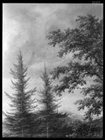 B055963