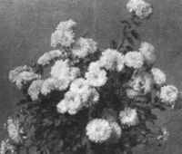 B056359