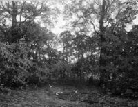 B056915