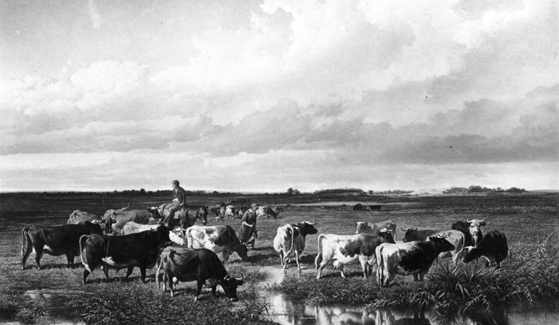 Paysage avec animaux - Site de Campine