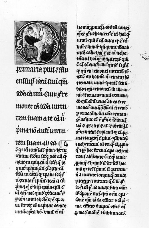 Aristoteles, Metaphysica nova (1-8) en andere teksten