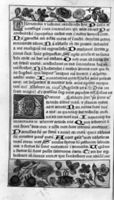 B057261