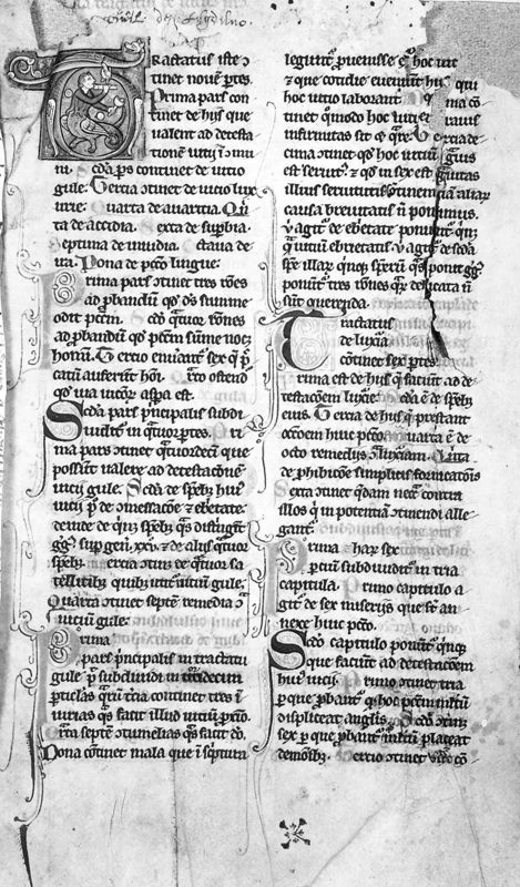 [Guillelmus Peraldus], Summa item alia de vitiis